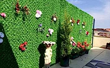 ÇİM ÇİT ÜRÜNLERİ