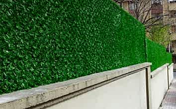 ÇİM ÇİT ÜRÜNLERİ