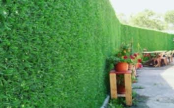 ÇİM ÇİT ÜRÜNLERİ