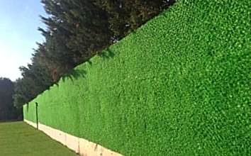 Çim Çit Nedir Nerelerde Kullanılır